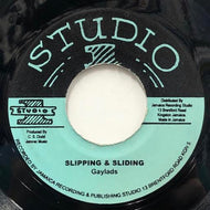 GAYLADS / Slipping And Sliding