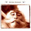 GOLDEN MONKEYS / SAME