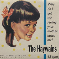 HAYWAINS / Why Do I Get The Feeling Your Mother Hates Me?