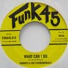 HARVEY & THE PHENOMENALS / WHAT CAN I DO