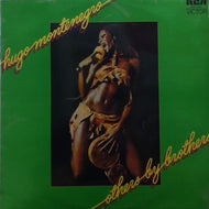 HUGO MONTENEGRO / OTHERS BY BROTHERS