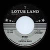 HENRY TURNER'S CRYSTAL BAND / MUSIC / GIVING MY LOVE UP TO YOU