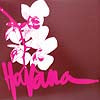 HAVANA / SHINE