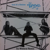 HONEYZ / LOVE OF A LIFETIME