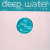 HINT / THE BEAU SELECTAH EP