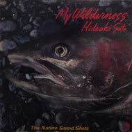 HIDEAKI SATO / MY WILDERNESS