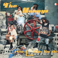 HONEY'S / HOW LOW (CAN YOU GO)