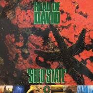 HEAD OF DAVID / SEED STATE