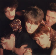 HOUSE OF LOVE / THE HOUSE OF LOVE