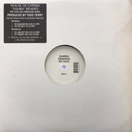 HOUSE OF GYPSIES / SAMBA REMIXES (THE STE)