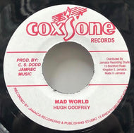 HUGH GODFREY / Mad World