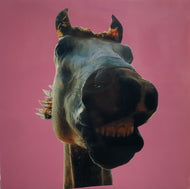 ハイロウズ / Do!!The MUSTANG