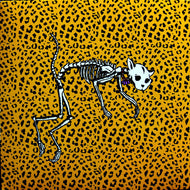 HOLLIE COOK / Body Beat