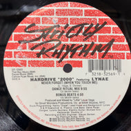 HARDRIVE 2000 / Never Forget (When You Touch Me) 