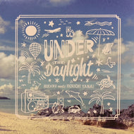HIKARU meets KENICHI YANAI / Under The Daylight