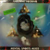 HARUOMI HOSONO (細野晴臣) / MENTAL SPORTS MIXES