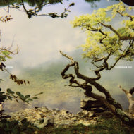 HARMONIA & ENO / '76 REMIXES