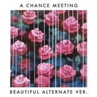 HARVARD / A CHANCE MEETING(BEAUTIFUL ALTERNATE VER.)
