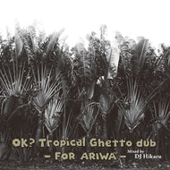 HIKARU / OK? Tropical Ghetto Dub - For Ariwa -