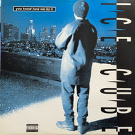 ICE CUBE / YOU KNOW HOW WE DO IT