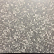 INNERZONE ORCHESTRA / BUG IN THE BASSBIN