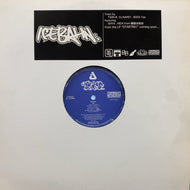 ICE BAHN / IB法