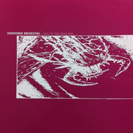 INNERZONE ORCHESTRA / BUG IN THE BASSBIN