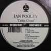 IAN POOLEY / CELTIC CROSS