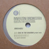 INNERZONE ORCHESTRA / BUG IN THE BASSBIN
