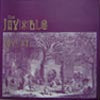 INVISIBLE / LOVE ST.