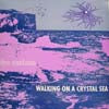 ILYA SANTANA / WALKING ON A CRYSTAL SEA