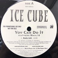 ICE CUBE / YOU CAN DO IT (REISSUE)