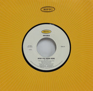 INCUBUS / WISH YOU WERE HERE