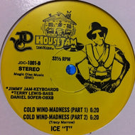 ICE-T / THE COLDEST RAP