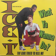 ICE-T / WHAT YA WANNA DO?