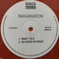 IMAGINATION / 12 MIXES PLUS