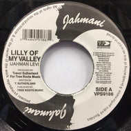 IJAHMAN LEVI / LILLY OF MY VALLEY / I AM LEVI