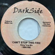 I WAYNE / BEENIE MAN / Can't Stop This Fire (Sleng Teng Mix) / Chi Chi Sound (Remix)
