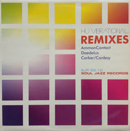 HU VIBRATIONAL / Remixes 12inch
