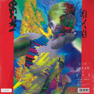 GEZAN × ∈Y∋(Boredoms) / GZN RMX 12inch