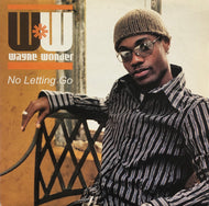 WAYNE WONDER / No Letting Go (AT0154T, 12inch)