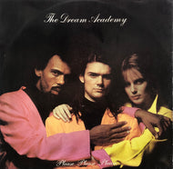 DREAM ACADEMY / Please Please Please (NEG 20T) 12inch