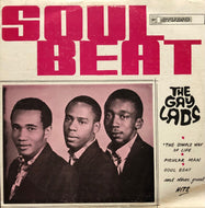 GAYLADS / Soul Beat (LP)