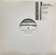 JAZZTRONIK / Para A Terra (FLRS-013) 12inch