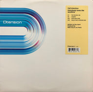 FULL INTENTION / Everybody Loves The Sunshine (DT 007) 12inch