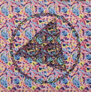 HOTEL MEXICO / Its Twinkle (EMF-036) 7inch