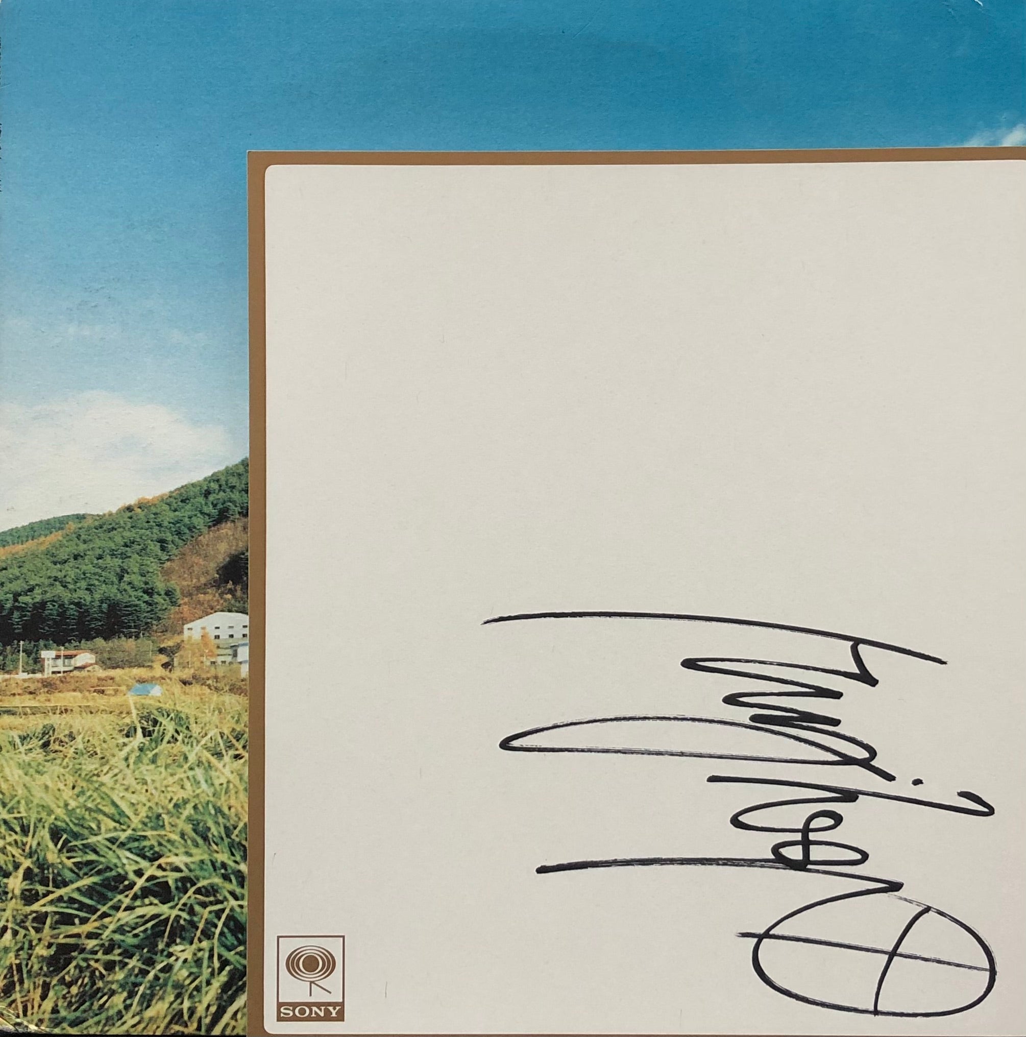奥田民生 「股旅」 完全生産限定盤 アナログ・レコード LP盤 - レコード
