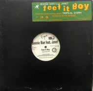 BEENIE MAN Feat. JANET / Feel It Boy (Virgin, SPRO-16841, 12inch)
