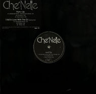 CHE'NELLE  / Hurry Up / I Fell In Love With The DJ (Positiva, 12TIV269, 12inch)
