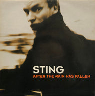 STING / After The Rain Has Fallen / Shape Of My Hearth (DO IT 16-00, 12inch)